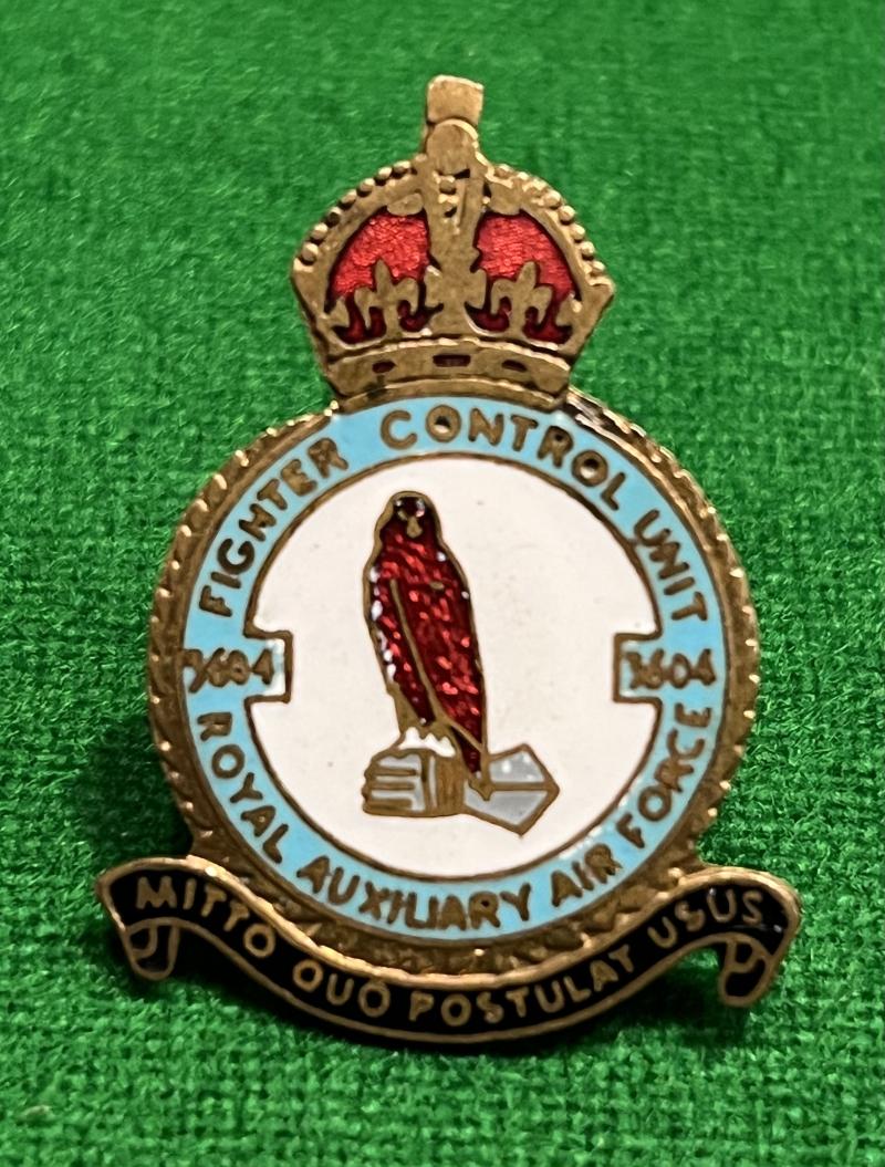 3604 Fighter Control Unit Lapel badge.