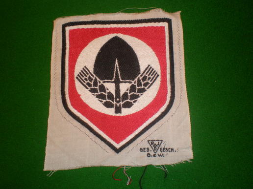 RAD sports vest emblem.