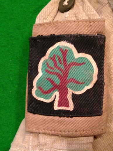 Officer's Aertex Shirt with 46th Div. Slip Ons.