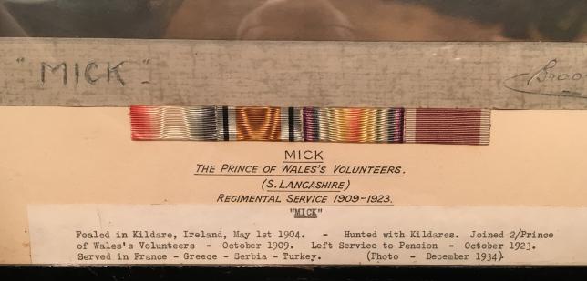 Colour Portrait Photograph of ' Mick ' a Horse of the S.Lancs Regt.