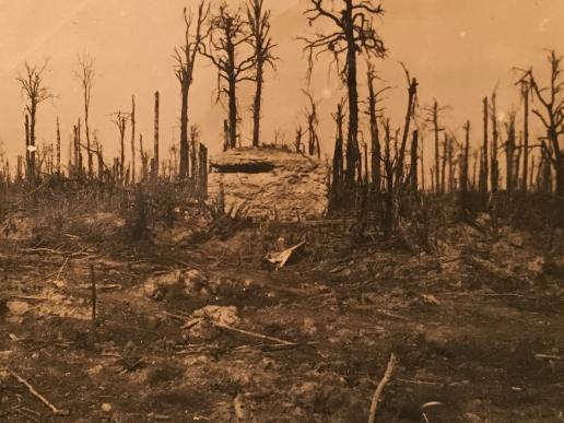 WW1 British Trench photograph - Trones Wood.
